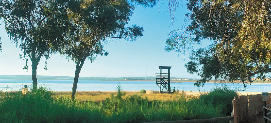 Datos registrados del 10 al 16 de junio