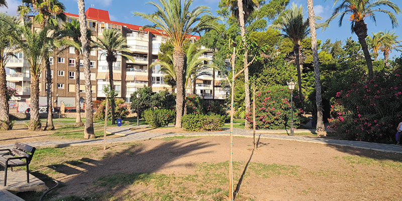 Plantación de nueve moreras en el Parque Doña Sinforosa