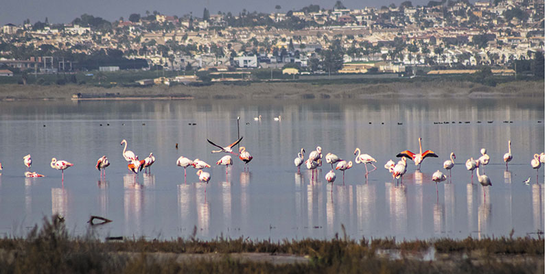 Datos registrados del 28 de octubre al 3 de noviembre