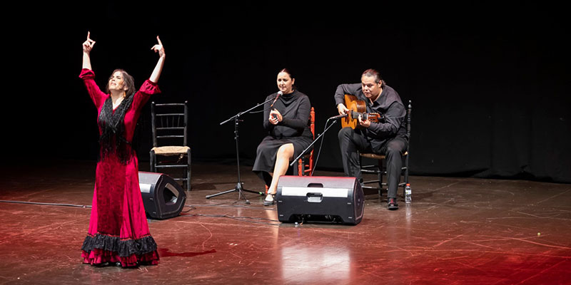 va3388-ENCUENTRO-FLAMENCO-2 El Teatro Municipal se llenó con el XVIII Encuentro Flamenco