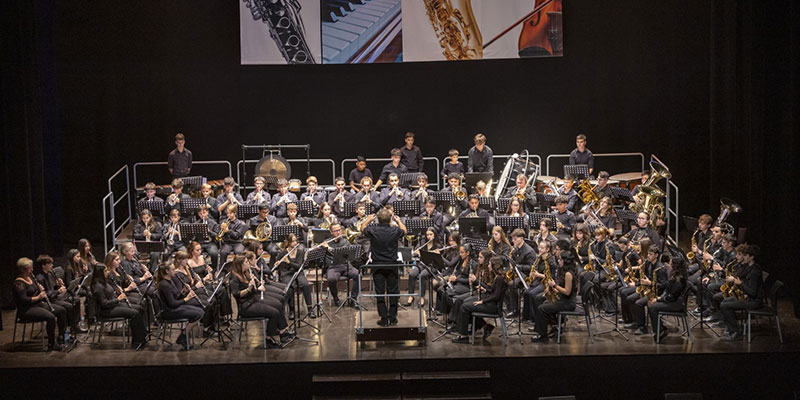 va3391-Concierto-Conservatorio-Profesional-de-Música-Francisco-Casanovas El Conservatorio culminó sus celebraciones de Santa Cecilia