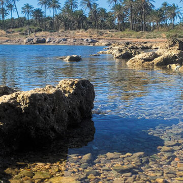 va3396-22-tiempo-Ferris2 Datos registrados del 6 al 12 de enero