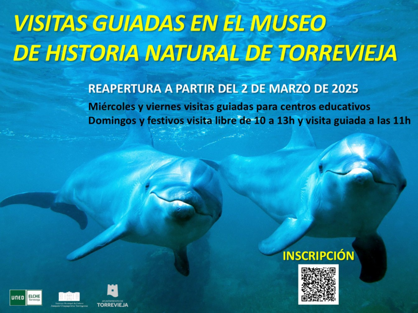 image El 2 de marzo se reanudan las visitas guiadas en el Museo de Historia Natural de Torrevieja