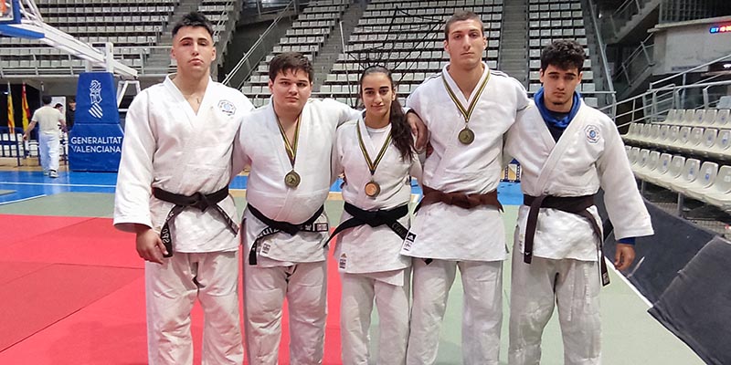 va3399-EQUIPO JUNIOR Una plata y cuatro bronces para el Judo Club Nozomi en los Autonómicos