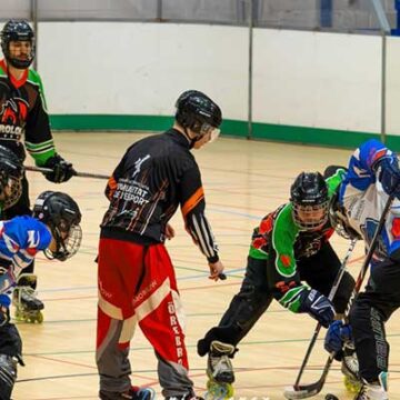 va3399-halcones Los Halcones encajan dos derrotas in extremis en la Liga Nacional Plata