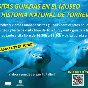 alt="Cartel informativo sobre las visitas guiadas en el Museo de Historia Natural de Torrevieja hasta el 29 de junio. Horarios para centros educativos, público general y familias, con actividades y talleres interactivos. Incluye código QR para inscripción."