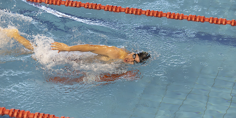 Socorristas saltando al agua durante el XIII Spanish Open en la piscina municipal de Torrevieja.