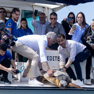 La tortuga marina Nuca, rescatada en el puerto de Torrevieja a principios de 2025, ha sido devuelta al mar tras su recuperación en el Oceanogràfic de València. El animal, que presentaba una aleta amputada y un anzuelo en el esófago, lleva ahora un emisor satelital para estudiar sus movimientos y proteger la especie.