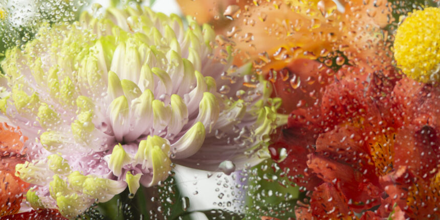 va3413-vista-de-flores-traves-de-vidrio-condensado Notas de primavera IX: Como volver a la infancia