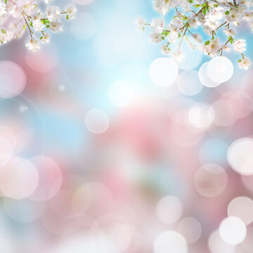 Cherry blossom on defocussed background Notas de primavera X: Momentos en los que el mundo brilla de una forma especial