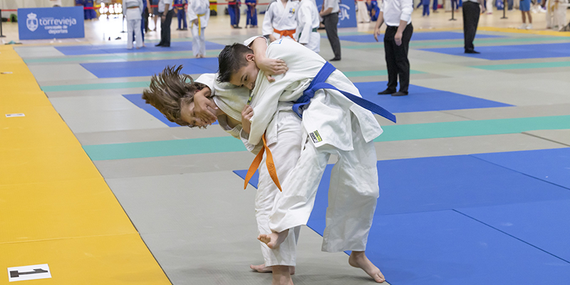 va3416-copa-judo Éxito de la Copa de Judo «Ciudad de Torrevieja»