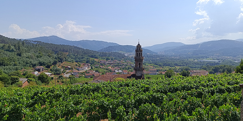 va3421-opi Cuaderno de verano V: Luz del norte