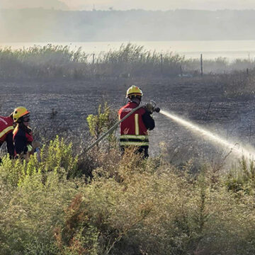 Un incendio afectó a la zona forestal del Parque Natural de las Salinas de Torrevieja