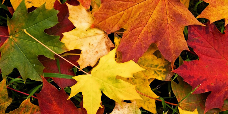 VA3430-PALABRAS-ENMARCADAS Cuaderno de otoño I: Una oscuridad llena de luz