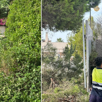 Actuaciones de mejora de los espacios verdes de la urbanización “Los Ángeles”