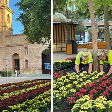 La plaza de la Constitución se viste con las banderas florales de la Comunitat Valenciana y España