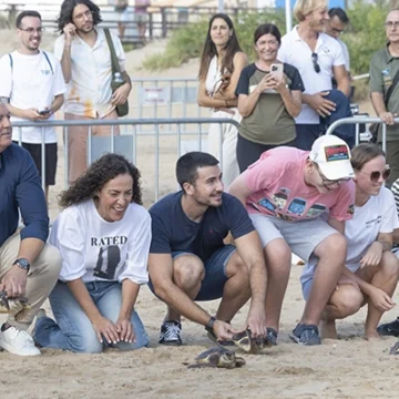 16 tortugas marinas entran al mar en Torrevieja