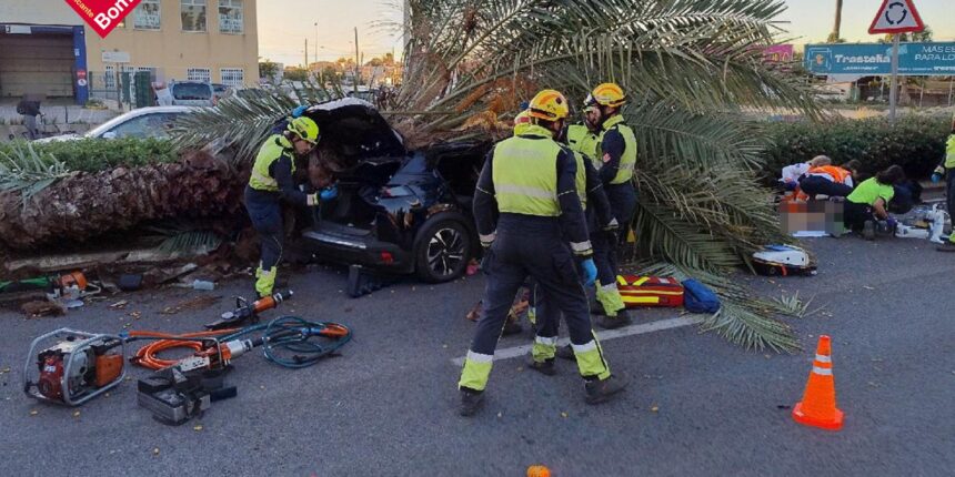 Consternación por el fallecimiento de un joven al caer una palmera sobre su vehículo