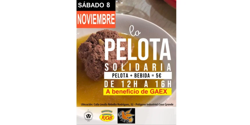 va3438-cartel-pelota Vuelve “La pelota solidaria” a beneficio de GAEX