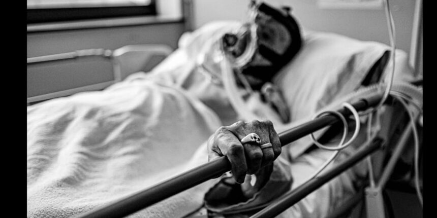 Dos obras de David de Loro, nominadas a los XXII Premios Goya de Fotografía Profesional