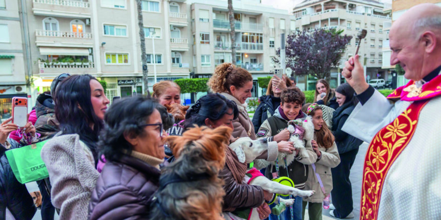La ciudad acogió sendas bendiciones de animales por San Antón