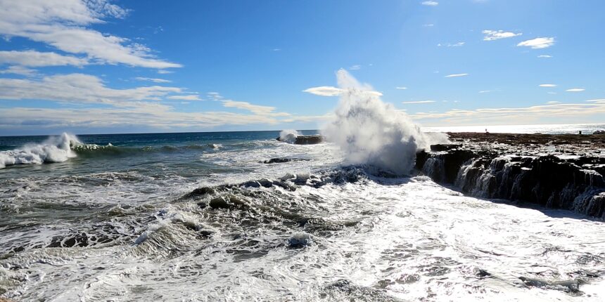 Datos registrados del 12 al 18 de enero