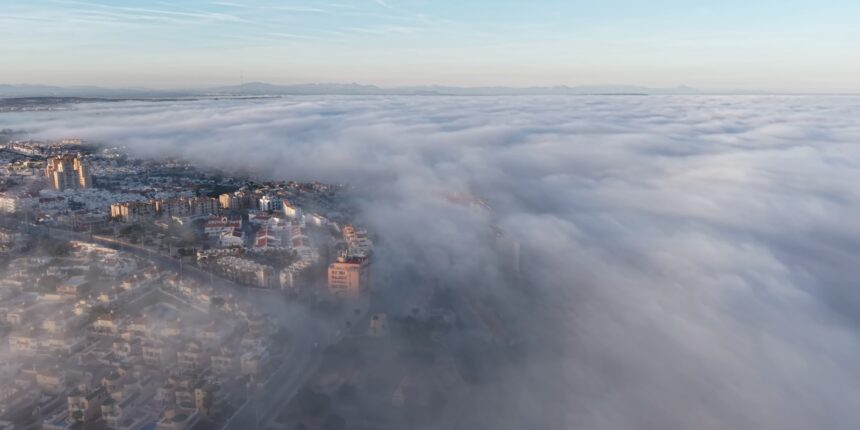 Datos registrados del 16 al 22 de febrero