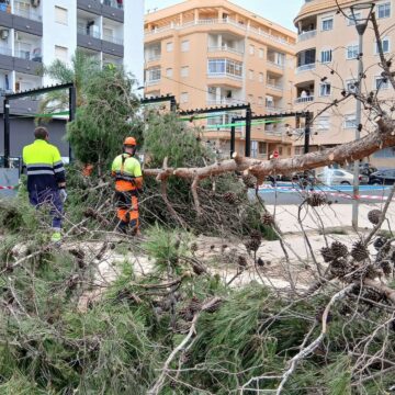 Torrevieja pasa un fin de semana con alerta naranja por rachas de viento