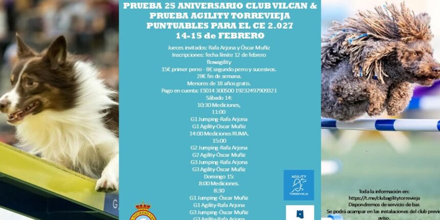 Torrevieja acoge la prueba “Agility”, puntuable para el Campeonato de España