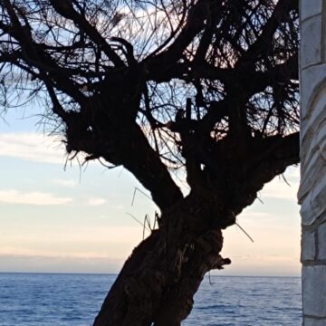 Cuaderno de invierno V: Un cierto gusto por lo anacrónico