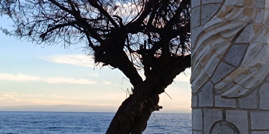 Cuaderno de invierno V: Un cierto gusto por lo anacrónico