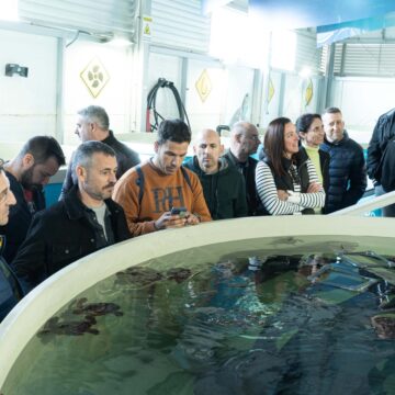 Torrevieja refuerza la formación de su policía local en protección de fauna marina