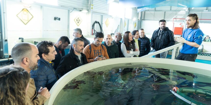 Torrevieja refuerza la formación de su policía local en protección de fauna marina