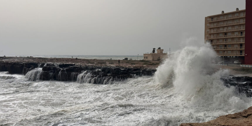 Datos registrados del 23 de febrero al 1 de marzo