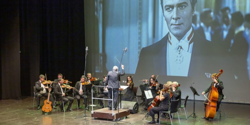 momento concierto family concerts