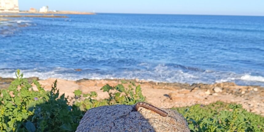 Cuaderno de invierno IX: Del silencio (II)