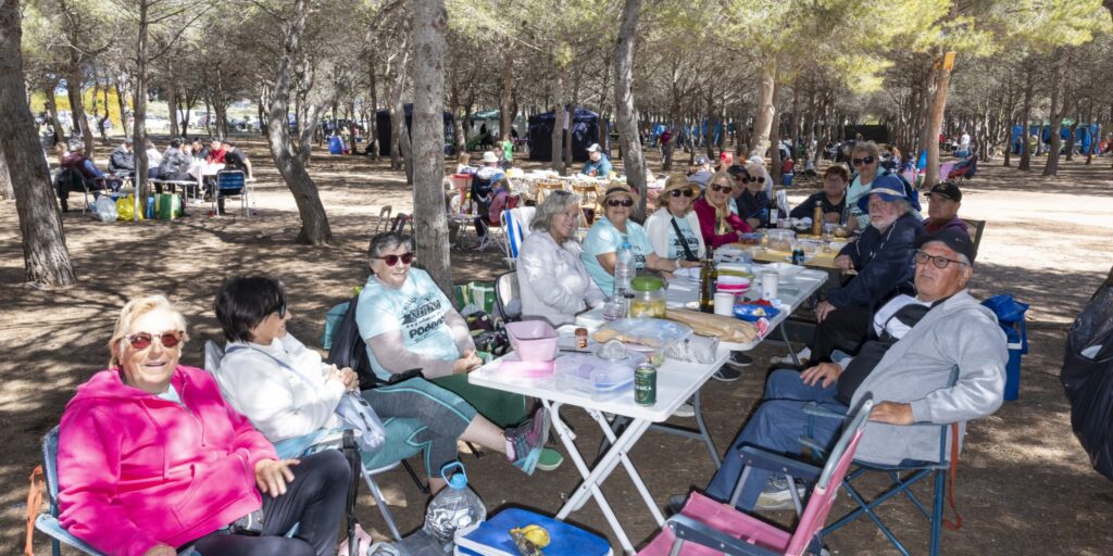 Grupo de vecinos de acampada comparte una comida de convivencia y sobremesa bajo los pinos