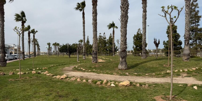 Zona junto la calle Rafael Antón con nuevos arboles