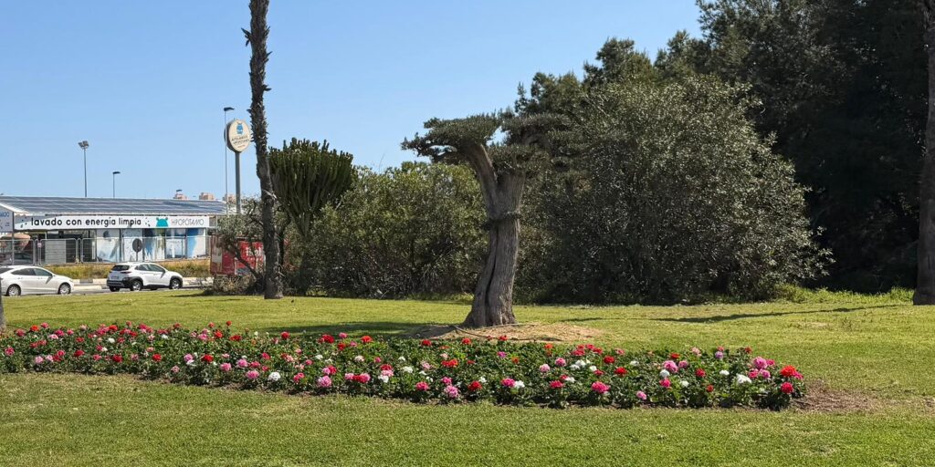 Zona verde renovada con macizos de flores de colores