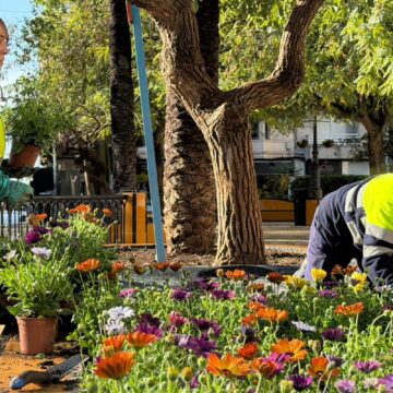 Operarias municipales plantando flores en la plaza de la Constitución