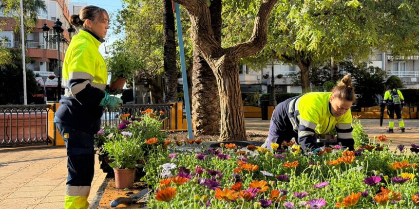 Operarias municipales plantando flores en la plaza de la Constitución