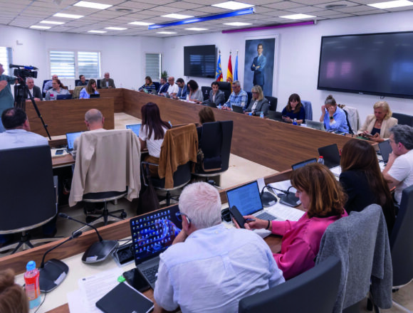 Pleno del Ayuntamiento de Torrevieja durante la aprobación del sector La Ceñuela para la ampliación del hospital