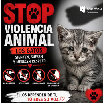 Cartel contra el maltrato animal con un gato y mensaje de concienciación en Torrevieja