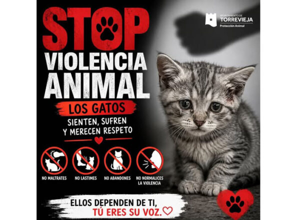 Cartel contra el maltrato animal con un gato y mensaje de concienciación en Torrevieja