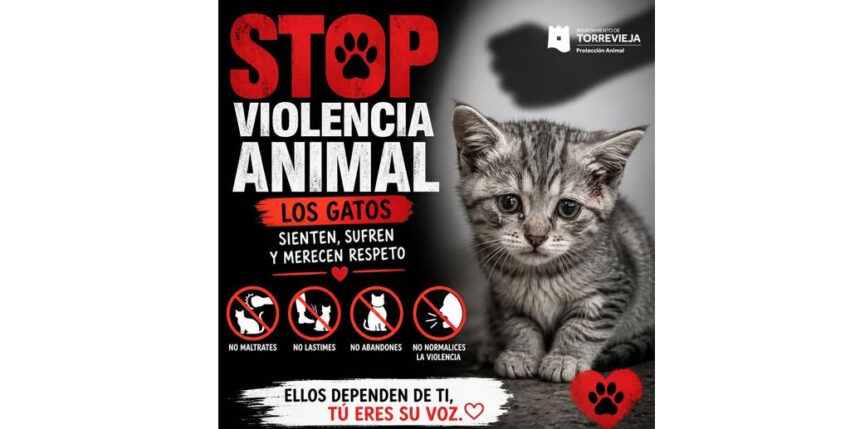 Cartel contra el maltrato animal con un gato y mensaje de concienciación en Torrevieja