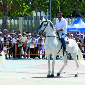 Paseo de caballos en la Feria de Mayo 2026 de Torrevieja en el recinto Antonio Soria
