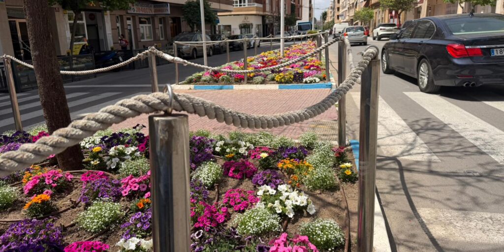 Flores de temporada decoran la mediana de la calle Campoamor