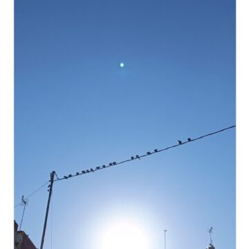 va3464-cuaderno primavera Pajaros sentados en un cable bajo el cielo azul