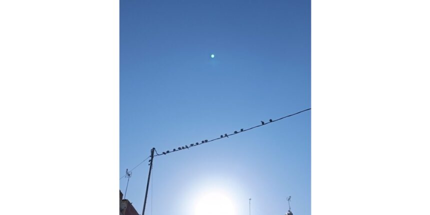 va3464-cuaderno primavera Pajaros sentados en un cable bajo el cielo azul