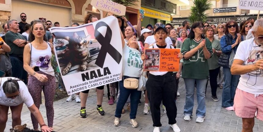 Condenado por maltrato animal tras matar a la gata Nala en Torrevieja